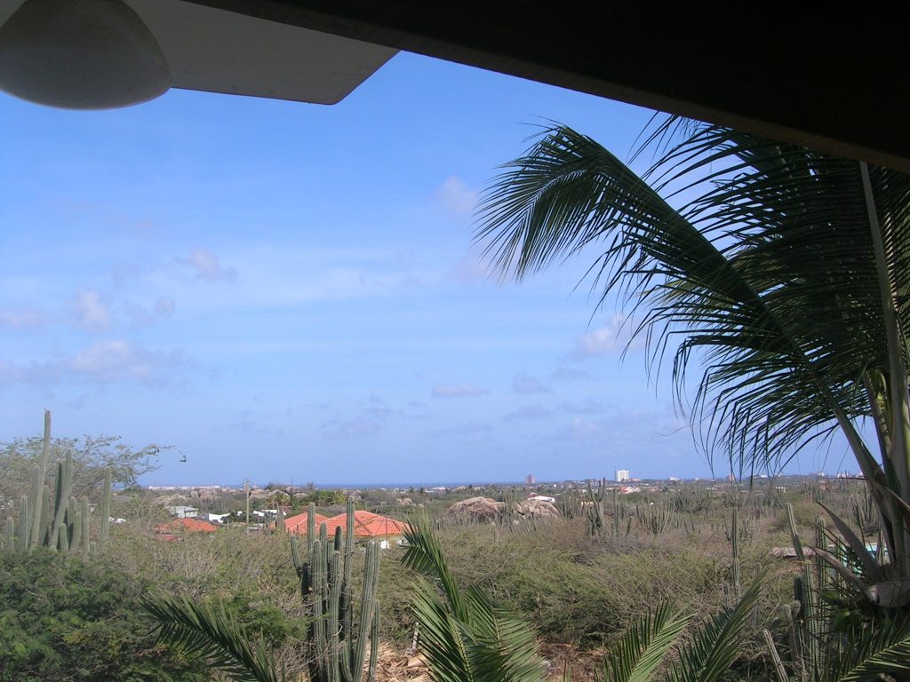 Luchthaven Aruba weer open voor toeristen! Patiri Luchthaven Aruba weer open voor toeristen! Patiri